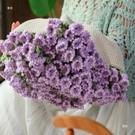 Baoshi Rose Bouquet Blanket Hand-Knitted Material Bag Yarn Ball Crochet Flower Blanket Flower Croche