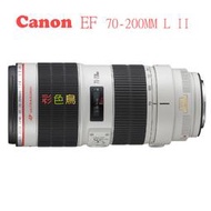 彩色鳥 相機出租**鏡頭出租 Canon EF 70-200mm f2.8 IS II