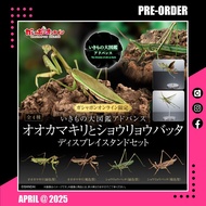 <設有實體舖> 25年4月預訂！Namco Park限定！全新未開封 日版 Bandai Gashapon Online x 生物之大圖鑑 Advance 扭蛋 螳螂 & 中華劍角蝗 (全4種) 包括