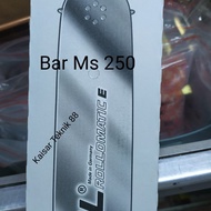 Bar chainsaw Stihl ms 250/bar censo Stihl ms 250