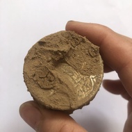 Antique Coins Ancient Coins Collection Republic of China Yuan Datou Silver Dollar Barrel Coins 10 Pi