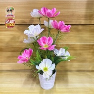Bunga Cosmos Siap Gubahan Dgn Pasu/Artificial Flower Cosmos With Pot/Bunga Hiasan Wedding Office Hom