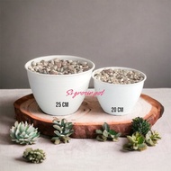 {dnd}POT TAWON POT PIRUS + BATU ALAM pot dengan batu alam hias pot bunga pot plastik