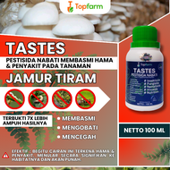 Obat Ulat Jamur Tiram / Obat Jamur Tiram Spj / Obat Jamur Tiram / Obat Hama Jamur Tiram / Obat Hama 