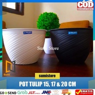 Tulip Pot 15 17 20 Cm White/ Wasp Pot 15 17 20 Cm White Bee Pot 15 17 20 Cm (Premium Great A)