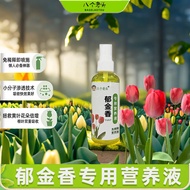 Organic Fertilizer Tulip Nutrient Solution Universal Tulip Special Nutrient Solution Flower Fertilizer Green Plant Hydro