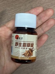 特價 位元堂 野生蟲草皇 12粒裝 