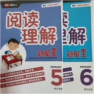Success in Chinese Comprehension for Primary 6 Exercises 66 + Answers