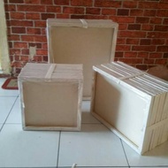 Painting canvas + stretcher 20x30
