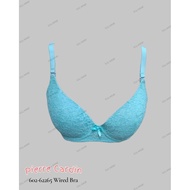 Pierre Cardin Full Cup Underwire Bra 602-62265/62266 Size 34B 34C 38B 38C