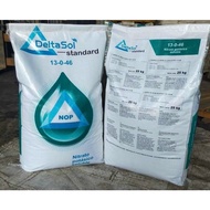 Bao 25kg Phân Bón Potassium nitrate (Kali Nitorat - KNO3) (Dạng bột)