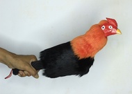 BONEKA AYAM BANGKOK BONEKA AYAM JAGO ADUAN MURAH BONEKA AYAM JAGO JUMBO  UNTUK LATIHAN BONEKA AYAM JAGO UNTUK FISIK BONEKA AYAM MURAH  AYAM KARET BUAT LATIHAN - adrahishop