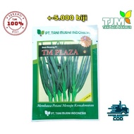 TM PLAZA +-5000 BIJI/bibit bawang daun super/benih bawang daun/biji