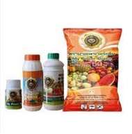 MY PLANT มาย แพลนท์ ของแท้100% นวัตกรรมอะมิโนเอ็นไซม์ (สำหรับพืช) PSK2005