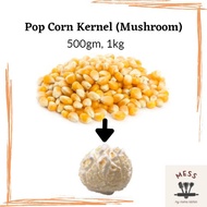 Mushroom Popcorn Kernel/Bertih Corn USA