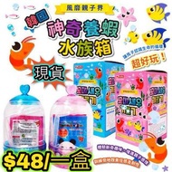現貨到 熱賣必玩 韓國養蝦水族館