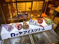 雪糕甜筒六款一套 miniature 微型 微縮藝術 可配re-ment 扭蛋 食玩 Blythe 黏土人Rement 合用