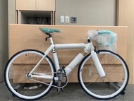 Bianchi Pista Sei Giorni 單速車 49cm