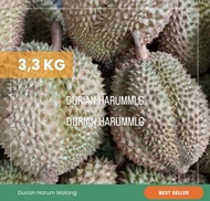 Durian montong utuh Cane Singaraja Bali 3,3kg