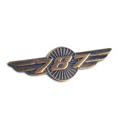 Boeing Wings Pin Boeing Wings Pin
