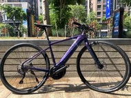 捷安特 GIANT  E-Bike電動輔助自行車 FASTROAD E+ 中置電機電動車