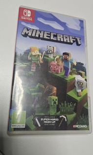 Minecraft switch