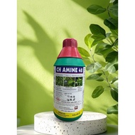 1L CH Amine 48 / Rumput Para / Keladi Agas / Parit