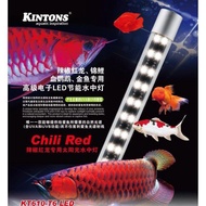 Kintons KT610 T6 LED Arowana Tanning Light Lampu Akuarium