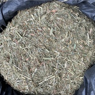NEW Timothy Powder Tortoise Grass 10kg Super Premium Grade