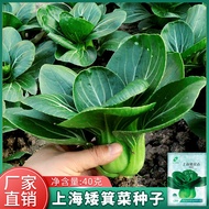Shanghai Low Kei Green Stem Vegetable Seeds Vegetable Seeds Vegetable Seeds Vegetable Seeds Vegetabl