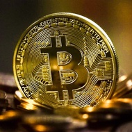 Bitcoin Coin Gold Plated Gift Art Collectible BTC Collectibles Collection BTC Cryto Case Physical Me