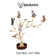 BlackMimi The Real 'Cat Tree' Solid Wood Cat Scratcher House Tree Cat Scratcher Post Tree Rest House