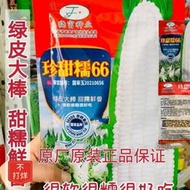 【大目】國審玉米種子 種籽 甜糯鮮香綠皮大棒珍甜糯66白甜hxmm