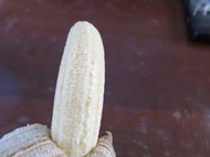 不用電土等化學用品的新鮮的玫瑰蕉又稱玫瑰山蕉、皇后蕉，價錢時價非3元，產期1~12月，入帳確認後出貨時間