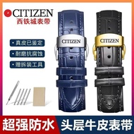 CITIZEN/CITIZEN Strap Genuine Leather Cowhide Light Kinetic Energy Original Butterfly Buckle Blue Me