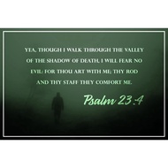 Christian Poster Bible Verse Psalm 23:4 Walking in Fog Motivational Inspirational Educational Religi