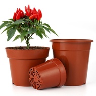 G1009 🔥 PLASTIC FLOWER POT PASU PLASTIK POKOK 塑料花盆