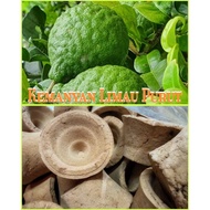 Kemanyan Limau Purut⭐麻疯柑甘文烟⭐Lucky Lime gan wen yan