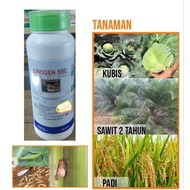 Linogen 5SC / Fiproni 5% 1 Racun Anai—anai yang tidak berbau / Sama Bayer Regent 505.0S