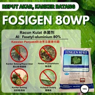 【REPUT AKAR根腐病/KANKER BATANG黑头病】FOSIGEN 80WP 1KG (Fosetyl-aluminium 80%)【SAME AI ALIETTE】Racun Kulat