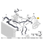 Water Pipe Back Into The Radiator (No.9) BMW X1 F48 18i 20i 20d Mini F54/F55/F56/F57/F60 Engine B38 