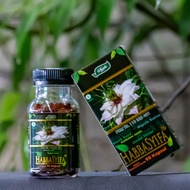HABBASYIFA 90 KAPSUL