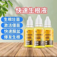 Low Price Universal Plant Rapid Rooting Liquid Powder Transplanting Cutting Rooting Water Strong Nut