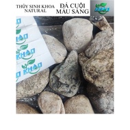 Bright Colored Pebbles, Set Up Design to Decorate Aquarium and Aquarium Layouts, Super Beautiful Sel
