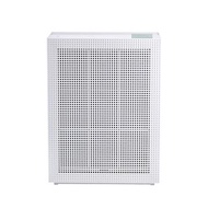 Coway 綠淨力玩美雙禦空氣清淨機(白) AP-1019C(white)