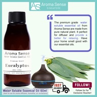 Aroma Sense Eucalyptus Water Soluble Essential Oil (60ml) Fresh & Long Lasting Fragrance, Aromathera
