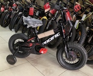 Sepeda Anak Laki-Laki 2 Ban Pacific Batman Jumbo Untuk 3-6 Tahun