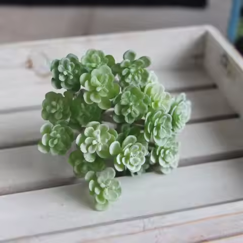 24 Heads Mini Artificial Cactus Plant Real Touch Plastic Artificial Succulent Plant Realistic Micro