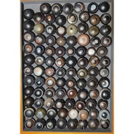 2.5cm old squid GOAT'S EYE Dzi, old quality, meaning intelligence, peace, fortune and luck Tibetan f