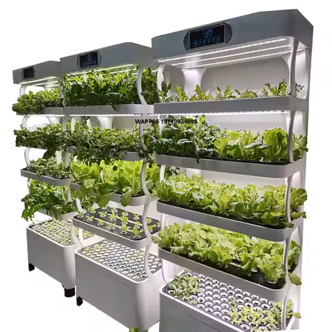 AM3 Indoor Smart Low Cost Hydroponics Vertical Garden Hydroponic Plant Vegetable Grow Systems Kit CE